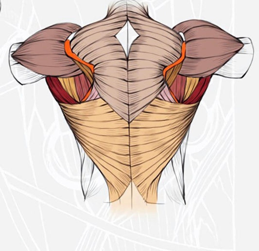 Why Runners Need Upper Back Strength